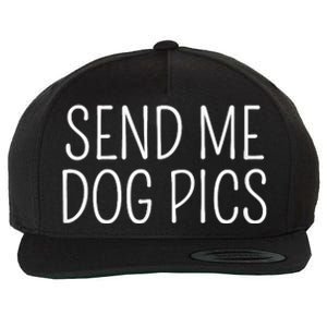 Send Me Dog Pics Funny Dog Lover Quote Wool Snapback Cap