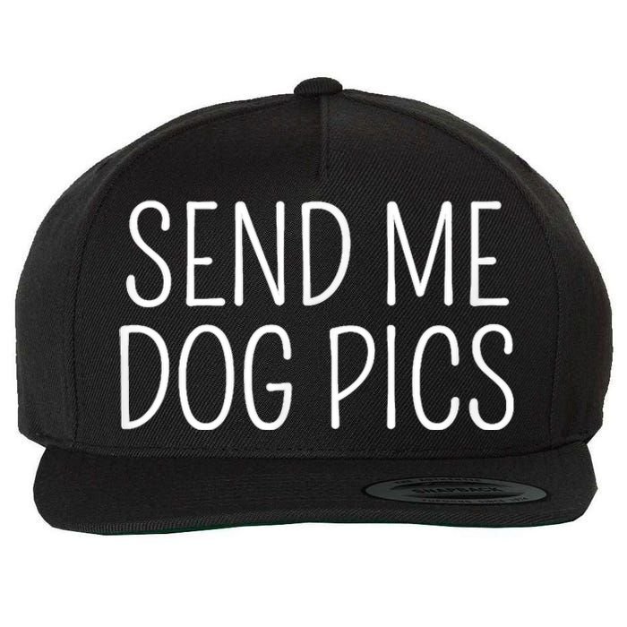 Send Me Dog Pics Funny Dog Lover Quote Wool Snapback Cap