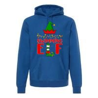 Swimming Matching Family Lighting Christmas Gift Premium Hoodie