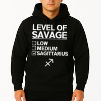 Sagittarius Merch Funny Cute Sagittarius Zodiac Design Hoodie