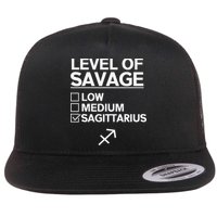 Sagittarius Merch Funny Cute Sagittarius Zodiac Design Flat Bill Trucker Hat