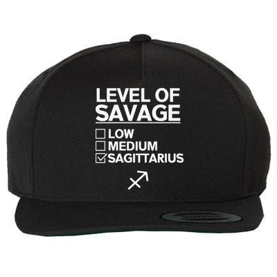 Sagittarius Merch Funny Cute Sagittarius Zodiac Design Wool Snapback Cap