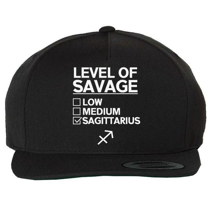 Sagittarius Merch Funny Cute Sagittarius Zodiac Design Wool Snapback Cap