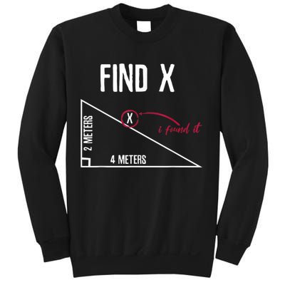 Sarcastic Math Found The 'X' Sweatshirt