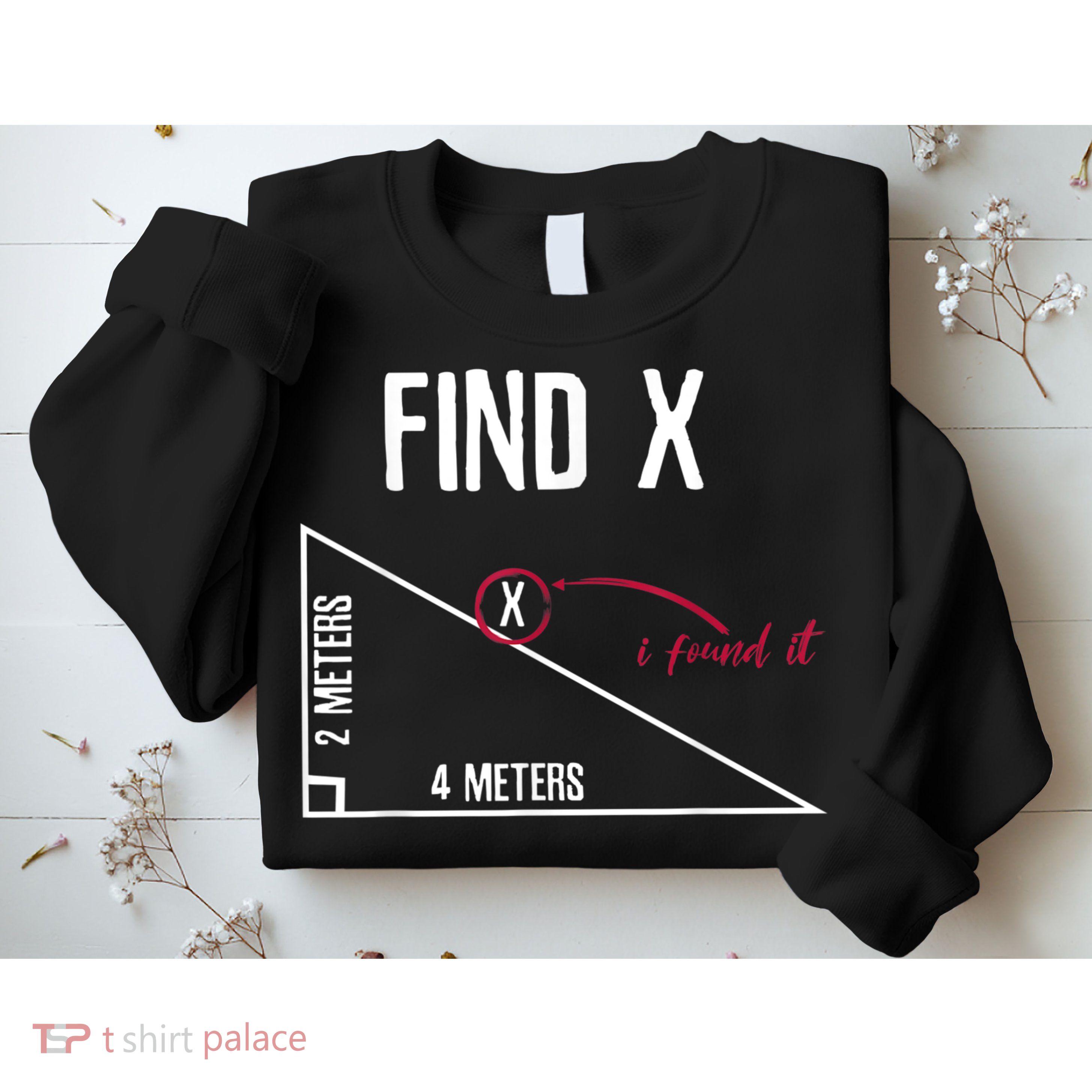 Sarcastic Math Found The 'X' Sweatshirt