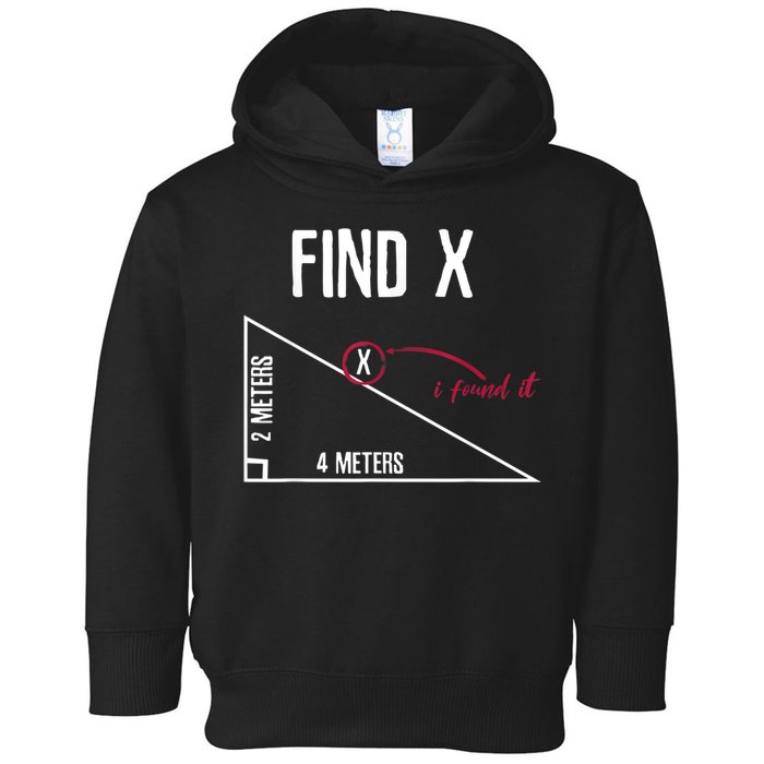 Sarcastic Math Found The 'X' Toddler Hoodie