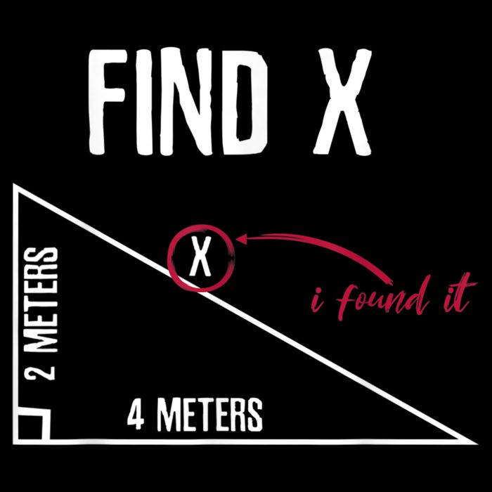 Sarcastic Math Found The 'X' Zip Tote Bag
