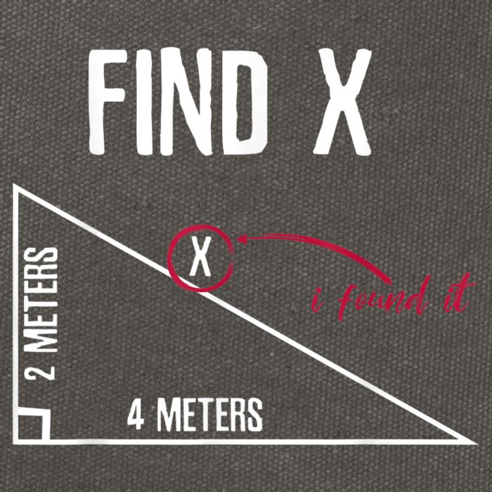 Sarcastic Math Found The 'X' Cotton Canvas Backpack