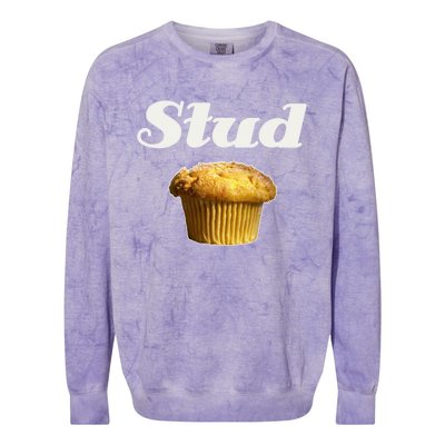 Stud Muffin Great Gift Colorblast Crewneck Sweatshirt