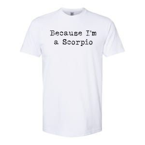 Scorpio Meaningful Gift Funny Scorpio Astrology Gift Softstyle CVC T-Shirt