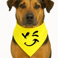 Smiley Face Winking USA-Made Doggie Bandana