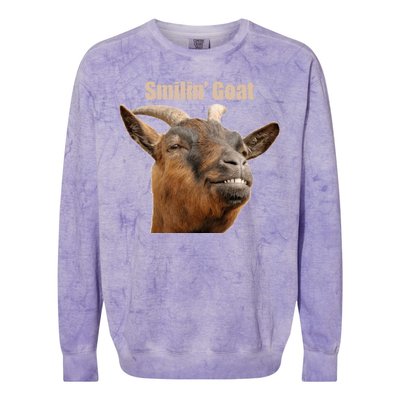 Smiling Goat Funny Colorblast Crewneck Sweatshirt