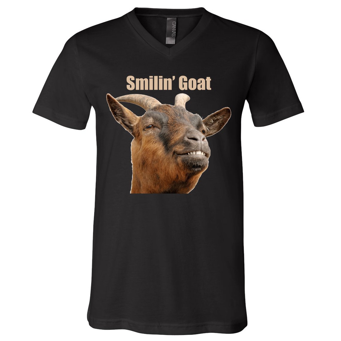 Smiling Goat Funny V-Neck T-Shirt