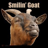 Smiling Goat Funny Button