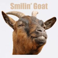 Smiling Goat Funny Garment-Dyed Sweatshirt