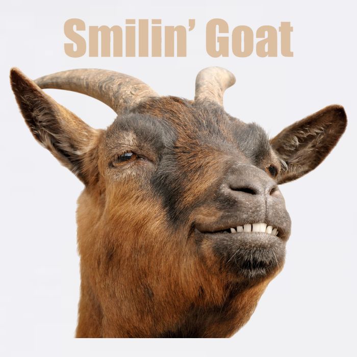 Smiling Goat Funny Garment-Dyed Sweatshirt