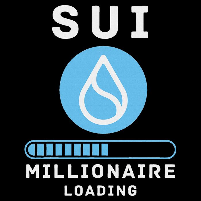Sui Millionaire Loading 7-Panel Snapback Hat