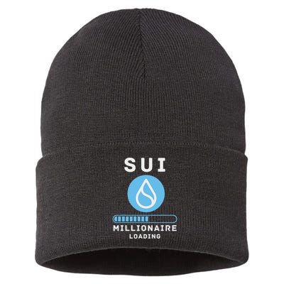 Sui Millionaire Loading Sustainable Knit Beanie