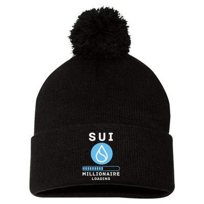 Sui Millionaire Loading Pom Pom 12in Knit Beanie