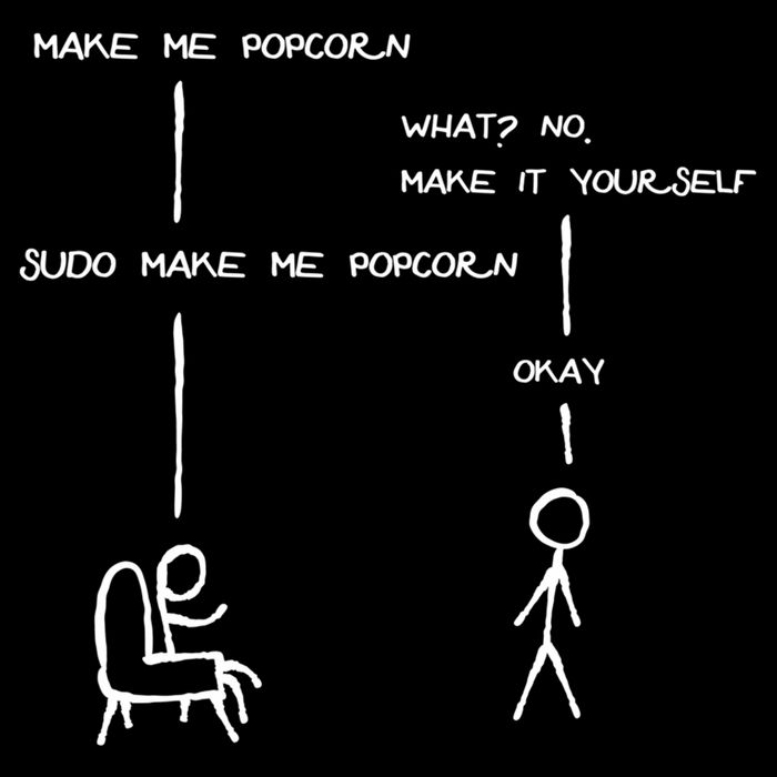 Sudo Make Me Popcorn - Funny Programming Jokes Bucket Hat