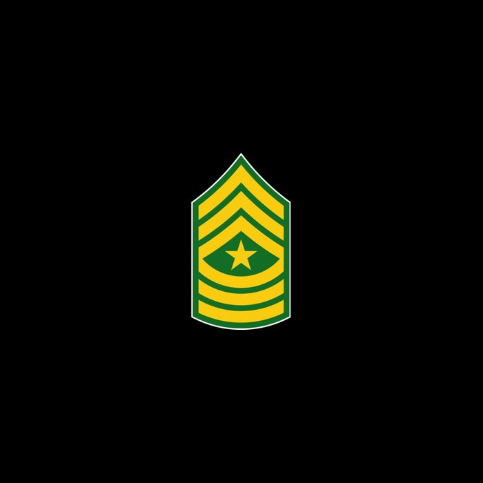 Sergeant Major Military Badge Visor