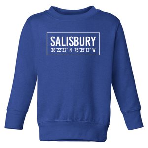 Salisbury Md Maryland Funny City Coordinates Home Roots Gift Toddler Sweatshirt