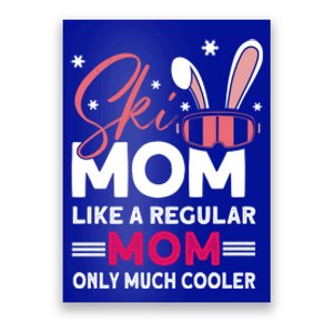 Ski Mom Meaningful Gift Ski Driver Funny Ski Skiing Gift Poster