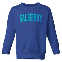 Salisbury Md Maryland Usa Vintage Sports Varsity Style Funny Gift Toddler Sweatshirt