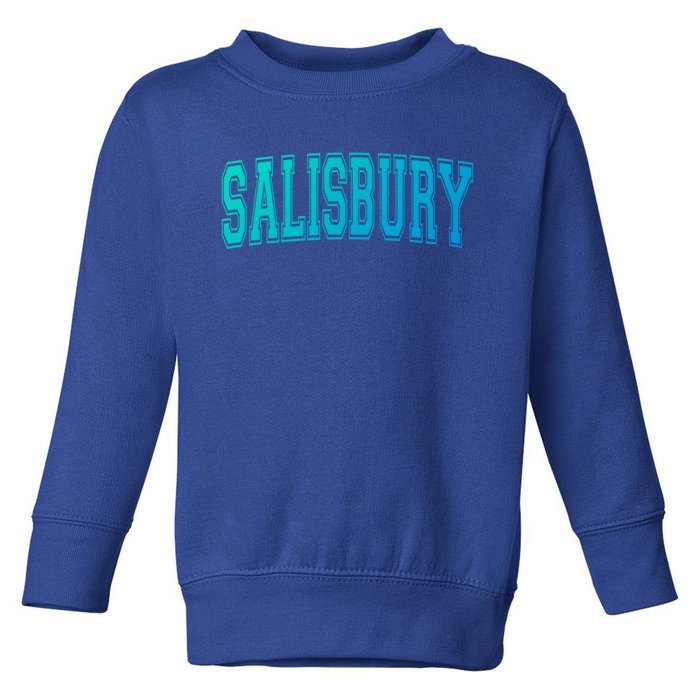 Salisbury Md Maryland Usa Vintage Sports Varsity Style Funny Gift Toddler Sweatshirt