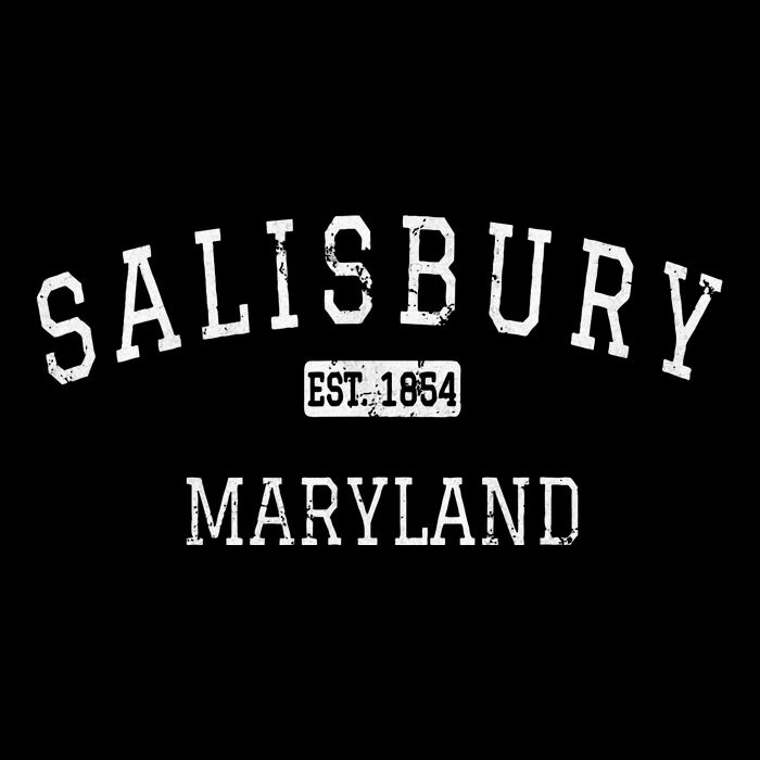 Salisbury Maryland Md Impact Tech Backpack