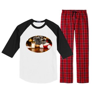 Santa Milk N Cookies Dog Affenpinscher Gift Raglan Sleeve Pajama Set