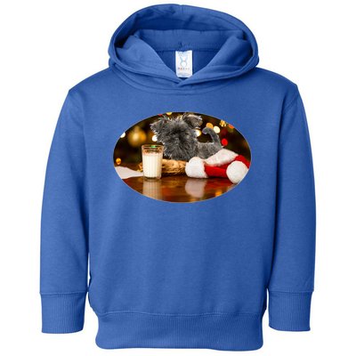 Santa Milk N Cookies Dog Affenpinscher Gift Toddler Hoodie