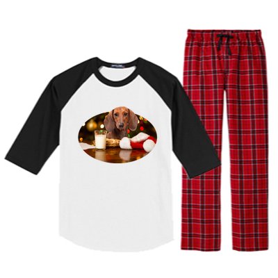 Santa Milk N Cookies Dog Dachshund Gift Raglan Sleeve Pajama Set