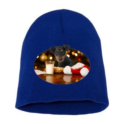 Santa Milk N Cookies Dog Ger Pinscher Gift Short Acrylic Beanie