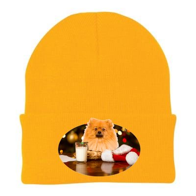 Santa Milk N Cookies Dog Pomeranian Cool Gift Knit Cap Winter Beanie