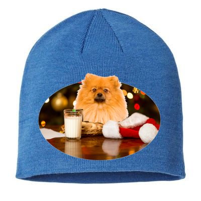 Santa Milk N Cookies Dog Pomeranian Cool Gift Sustainable Beanie