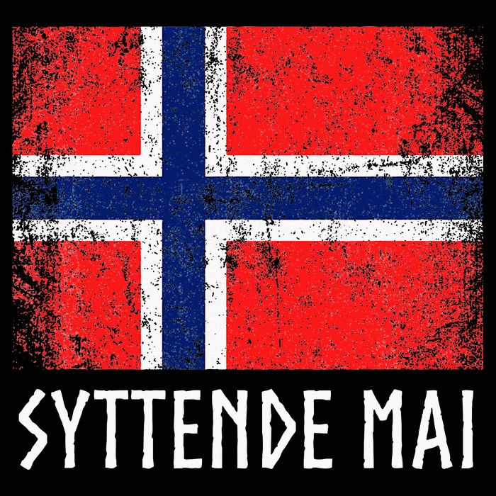 Syttende Mai Norwegian Norway Womens T-Shirt