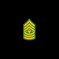Sergeant Major Of The Army Military Badge 16 in Basic Backpack