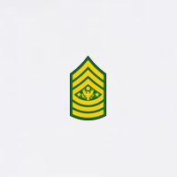 Sergeant Major Of The Army Military Badge Garment-Dyed Sweatshirt