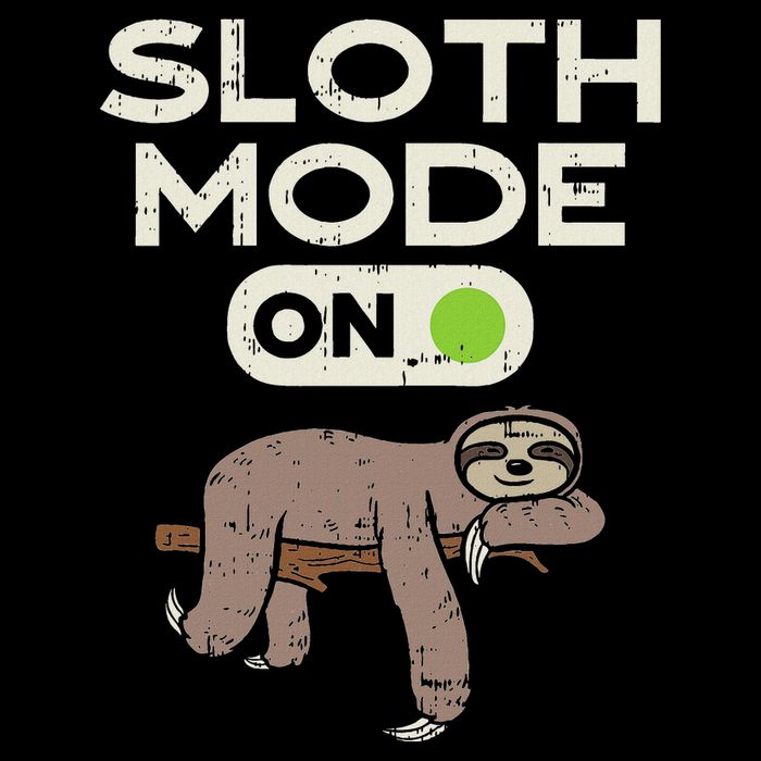 Sloth Mode On Funny Lazy Sleep Animal Lover Women Gift Sweatshirt