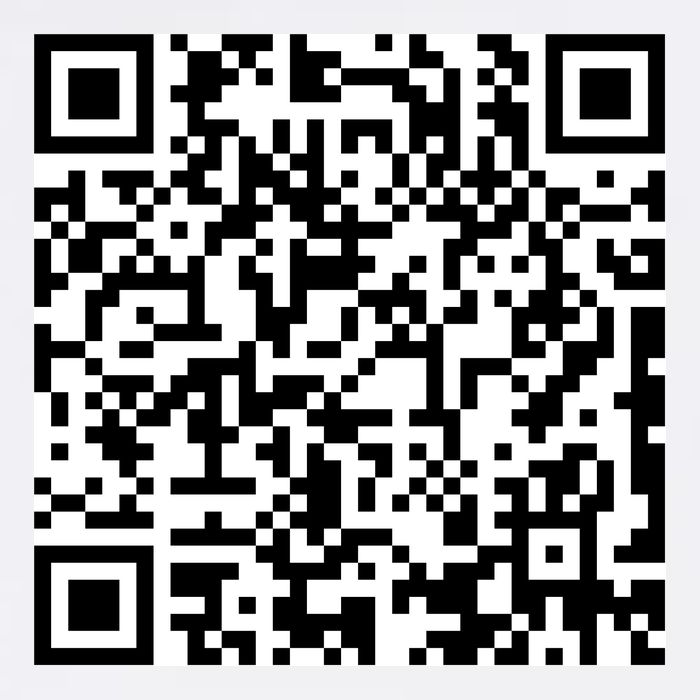 Scan Me QE Code Be The Faith Garment-Dyed Sweatshirt