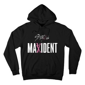 Stray Maxident Hoodie