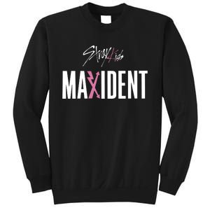 Stray Maxident Sweatshirt