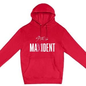 Stray Maxident Premium Pullover Hoodie