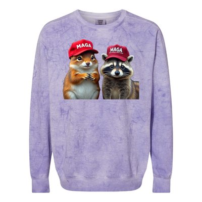 Social Media Star Peanut Squirrel And Fred Raccoon Maga Colorblast Crewneck Sweatshirt