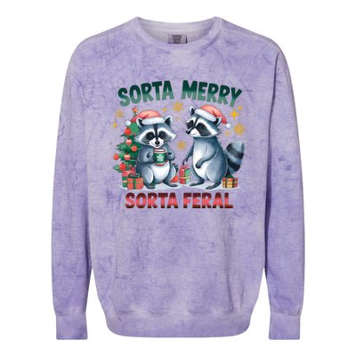 Sorta Merry Sorta Feral Christmas Raccoon Xmas Colorblast Crewneck Sweatshirt