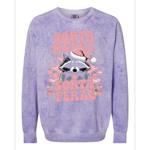 Sorta Merry Sorta Feral Cute Pin.K Christmas Raccoon Art Colorblast Crewneck Sweatshirt