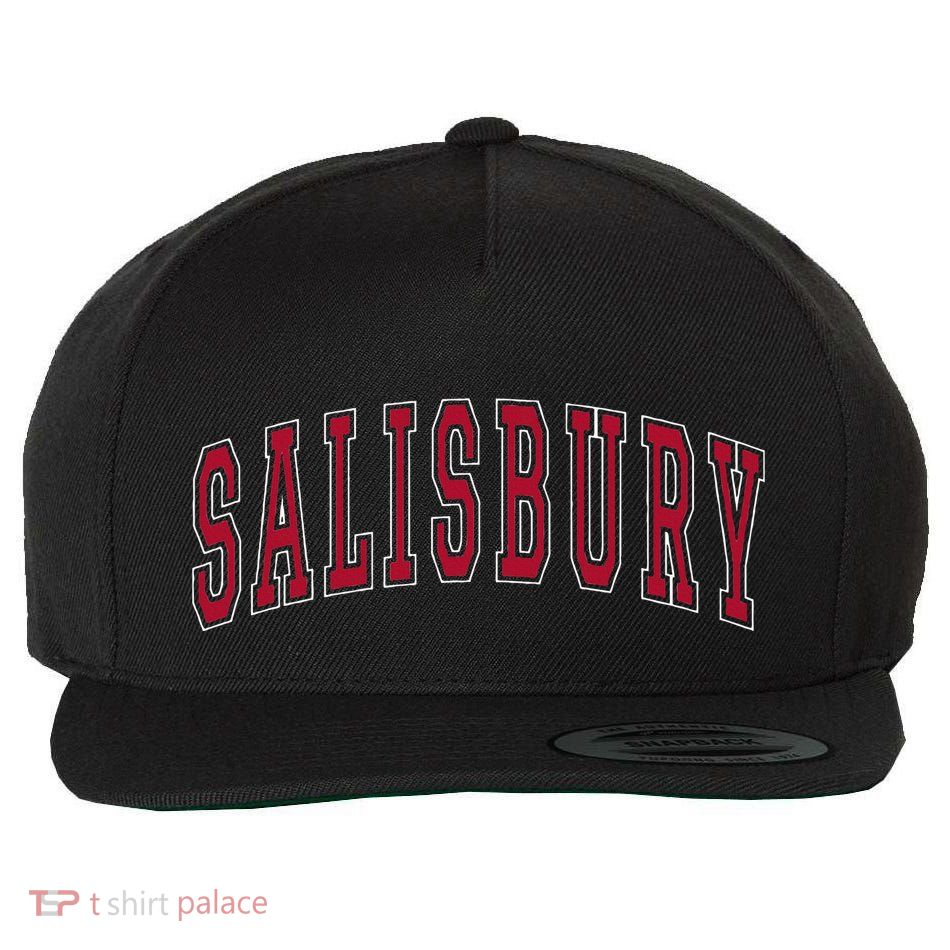 Salisbury Maryland Souvenir College Style Red Text Wool Snapback Cap