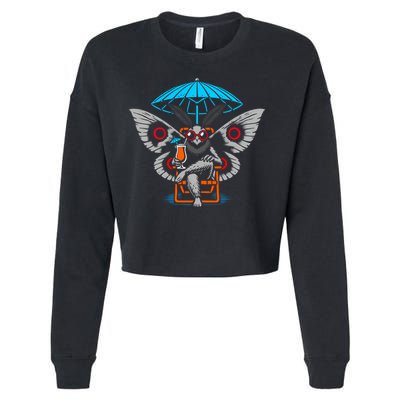 Summer Moth Cropped Pullover Crew
