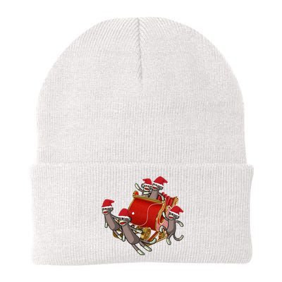 Sock Monkeys Take Over Christmas Funny Sock Monkey Knit Cap Winter Beanie